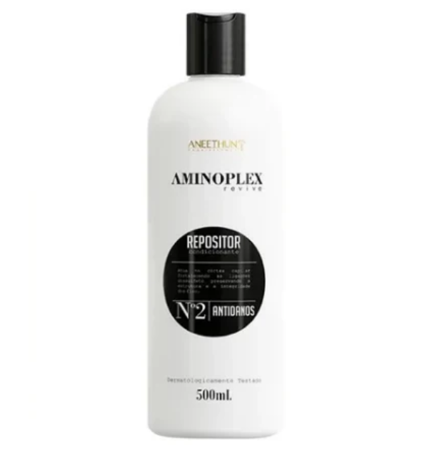Aneethun Repositor Aminoplex Revive 500mL