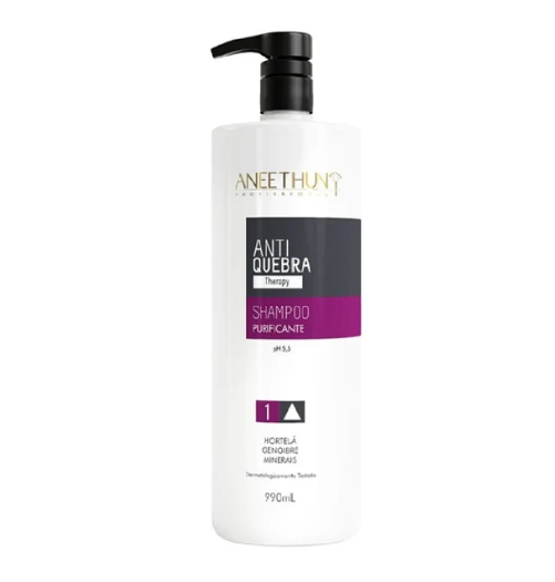Aneethun Shampoo Purificante Antiquebra 990ml
