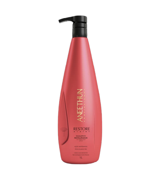 Aneethun Shampoo Restore System 1L