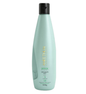 Aneethun Esfoliante Scalp Detox 500g