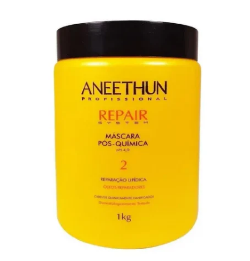 Aneethun Máscara Repair System 1Kg