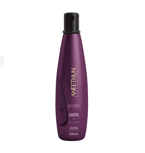 Aneethun No Frizz System - Shampoo Defrizante 300ml