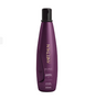 Aneethun No Frizz System - Shampoo Defrizante 300ml