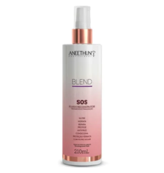 Aneethun Sos Fluido Reconstrutor Aneethun Linha Blend 210Ml