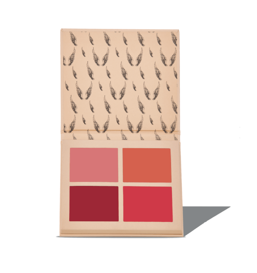 Catharine Hill Paleta Angel Blush Powder by Pri Lessa A2