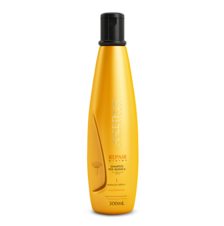 Aneethun Shampoo Repair System 300 mL