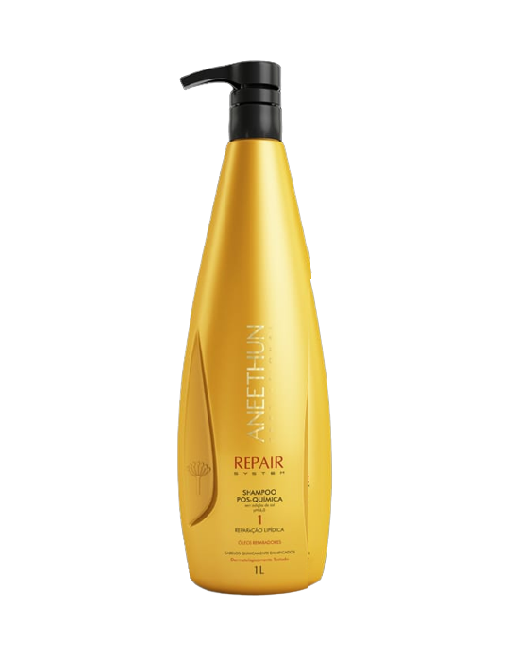 Aneethun Shampoo Repair System 1L